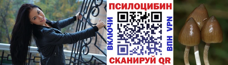 как найти Мураши мориарти телеграм Псилоцибиновые грибы ЛСД