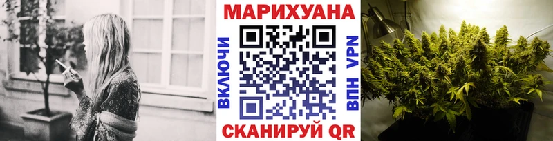 blacksprut ссылки  Мураши  Шишки марихуана OG Kush 